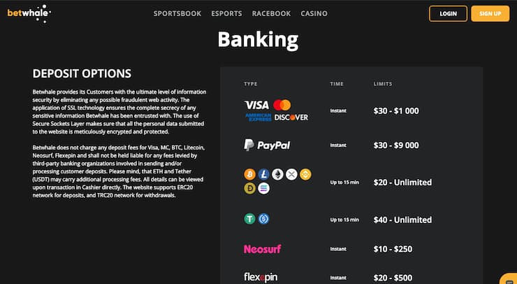 An image of the banking options at BetWhale, one of the top New Hampshire online gambling sites.